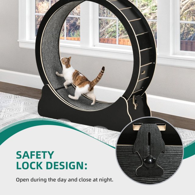 Indoor Cat Exercise Wheel - Image 4