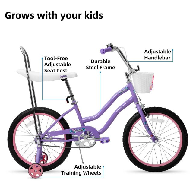 20 Inch Girls Bike with Training Wheels, Banana Seat, Hand & Coaster Brakes - Image 2