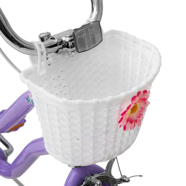 20 Inch Girls Bike with Training Wheels, Banana Seat, Hand & Coaster Brakes - Image 6