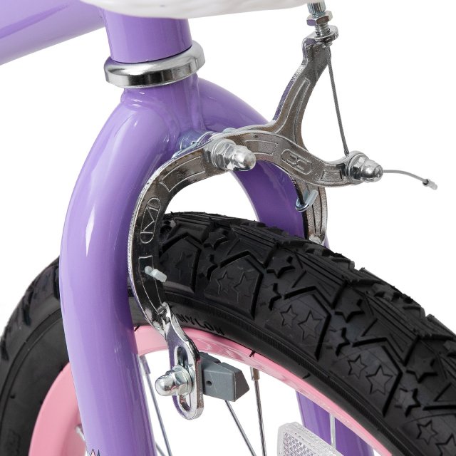20 Inch Girls Bike with Training Wheels, Banana Seat, Hand & Coaster Brakes - Image 5