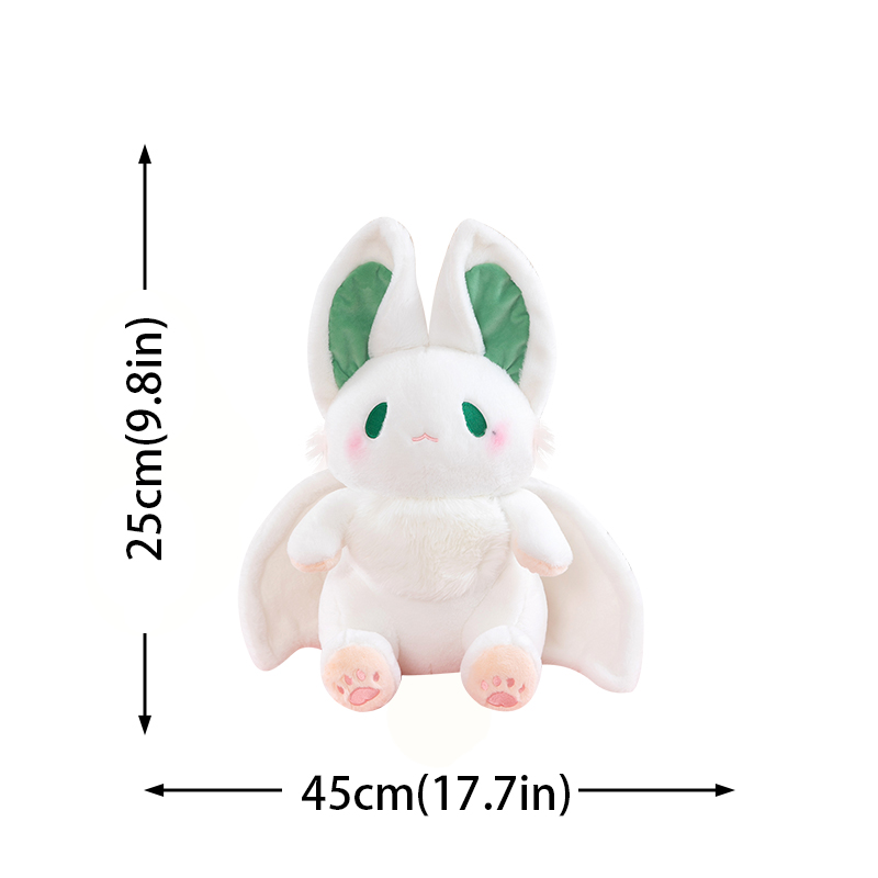 45cm