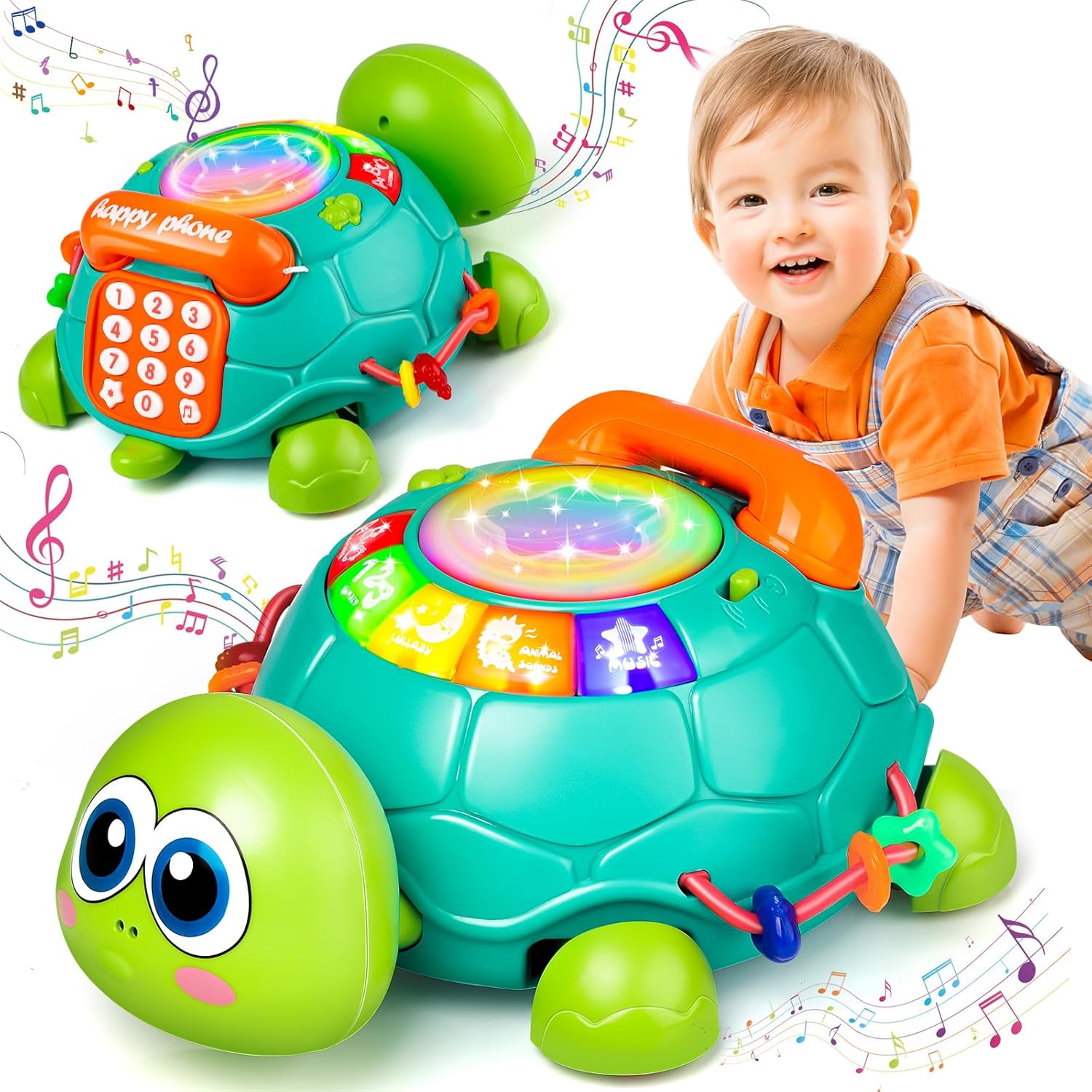 Turtle